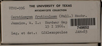 Image Associated With the Occurence
